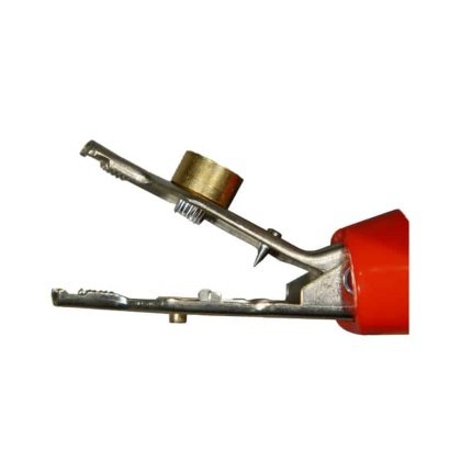 crocodile clip (ast.)