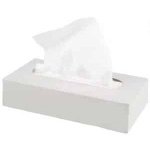 tissue lens cleaning 100x150mm 100/pk