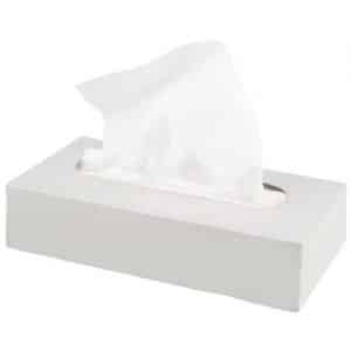 tissue lens cleaning 100x150mm 100/pk