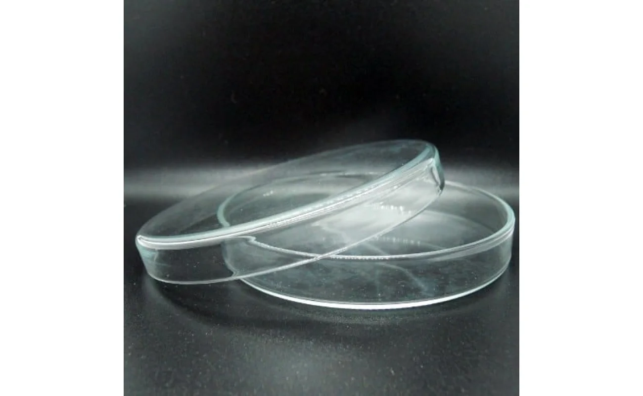 petri dish glass 100mm