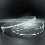 petri dish glass 100mm