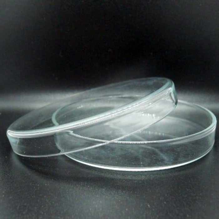 petri dish glass 100mm